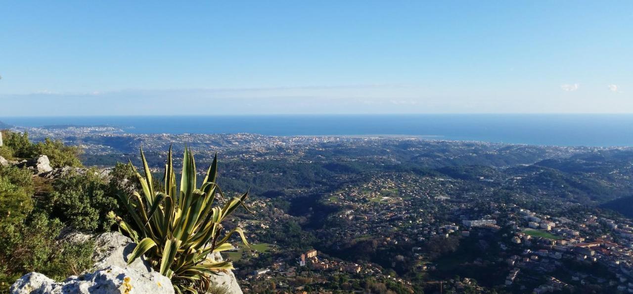 Gite Les Citronniers Vence Exterior photo