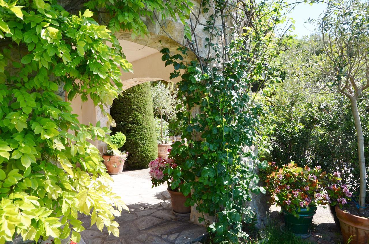 Gite Les Citronniers Vence Exterior photo